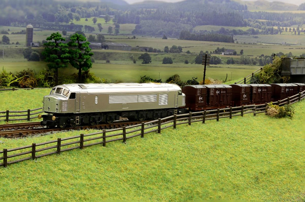 Rapido Trains N Gauge Class 44 Peak