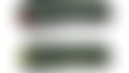 EFE Rail N Gauge Baby Deltic