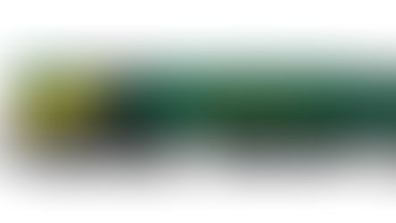 Dapol announce new N Gauge Class 66