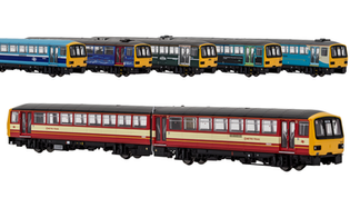Dapol N Gauge Class 143/144 livery samples shown