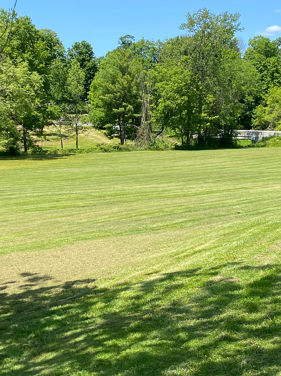 Monthly Mow