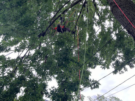 Climbing over power lines