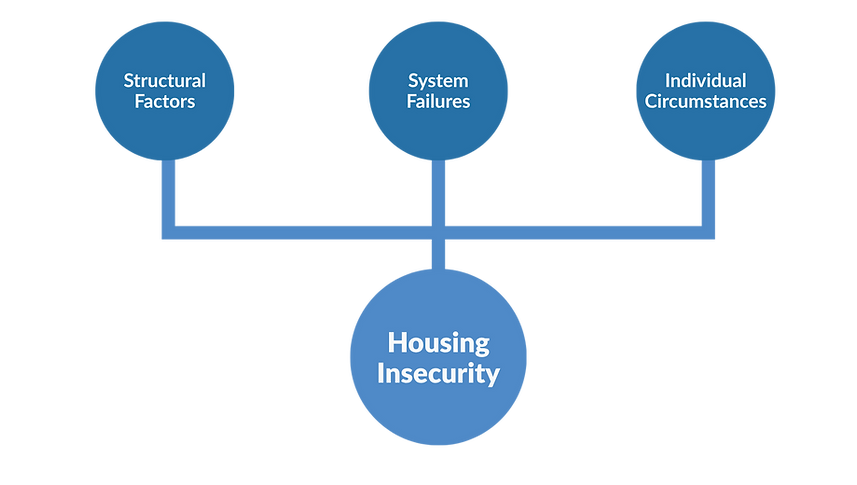 Pathways into Housing Insecurity.png