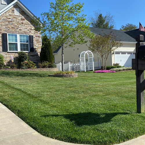 beautifully mowed lawn

