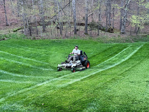lawn mowing professional