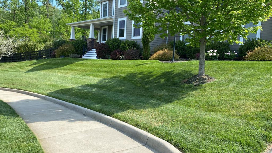 quality mowing job