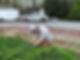 Weeding.jpeg
