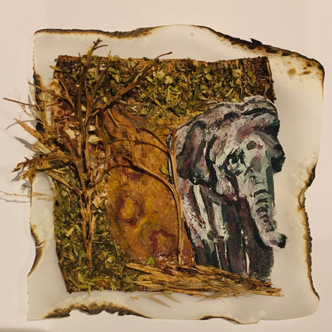 Plantation Elephant