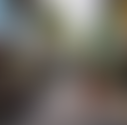 Hidden Gems in Singapore That Most Tourists Never Find (2026)