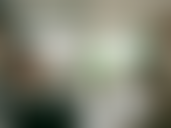 Open Concept vs Enclosed Rooms: What Works in Singapore Homes (2026)