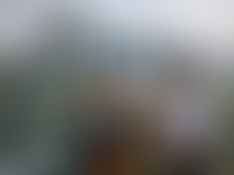 Private tour Singapore city guide planning 2026