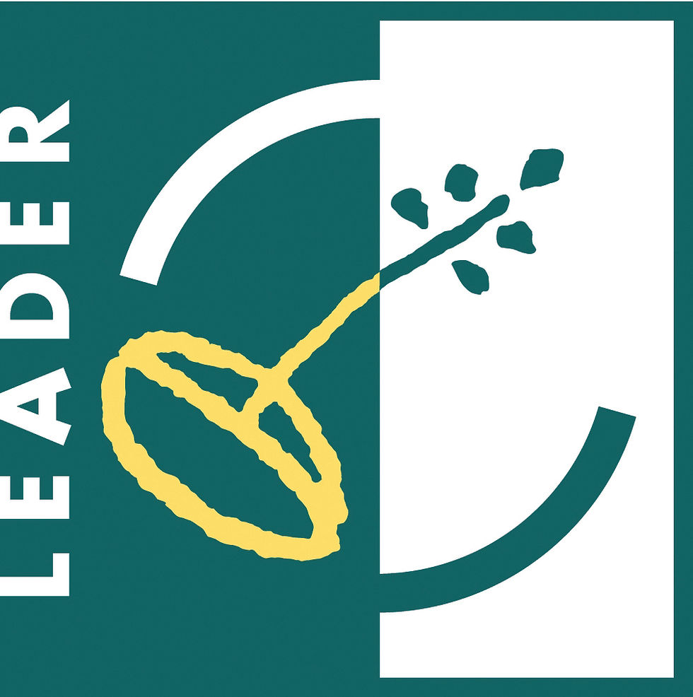 Leader_logo (1).jpg