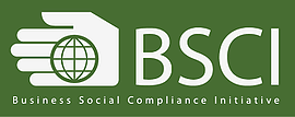 BHR participated in a panel at the Annual BSCI Conference in Brussels