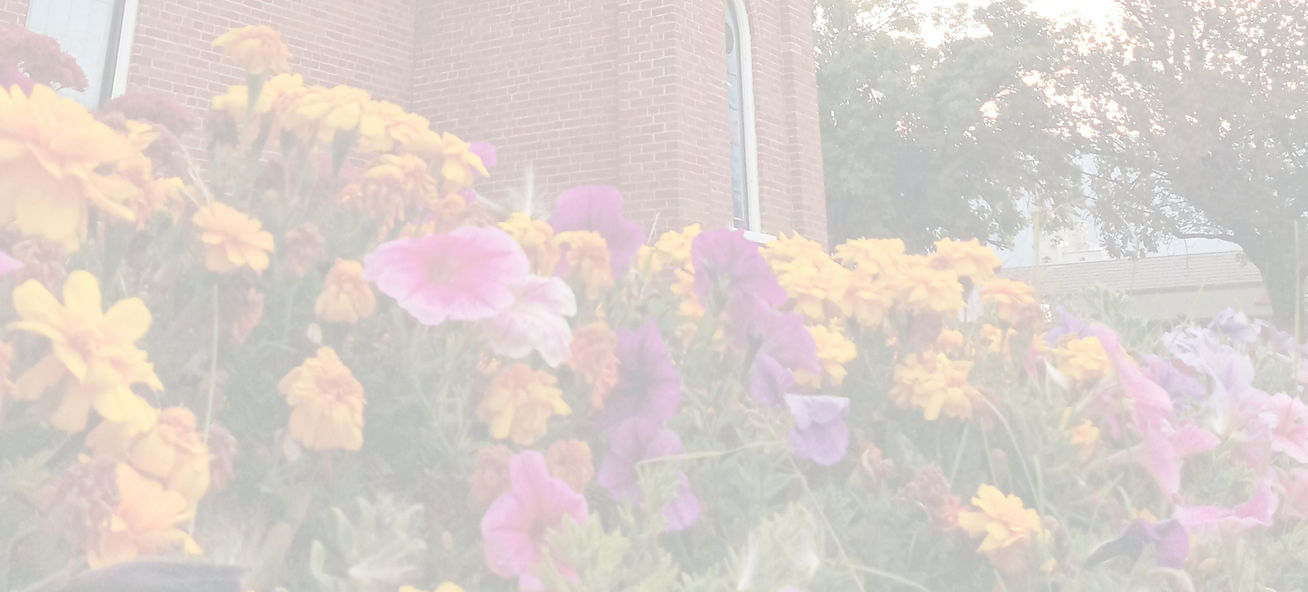 flowers landscape format3.jpg