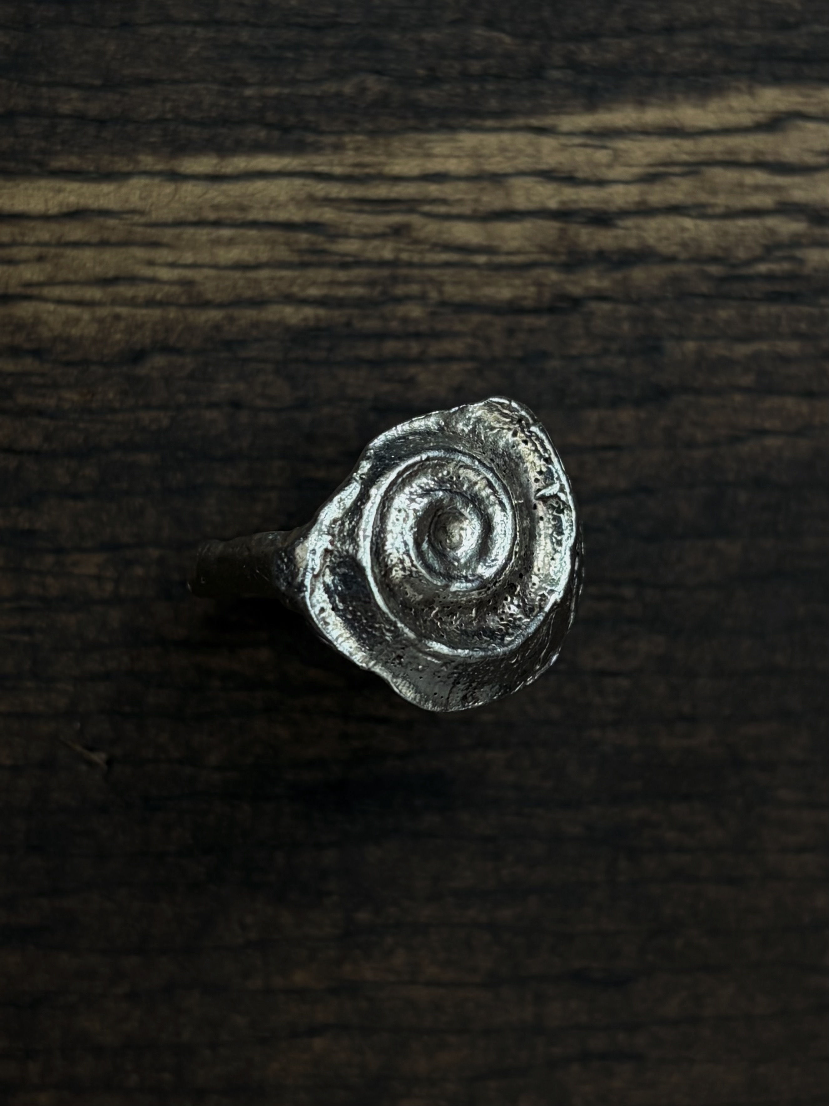 Spiral Shell Ring