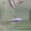Thumbnail: Impaicchthys Kerri (Purple Emperor Tetra)