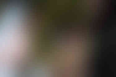 LOTR wedding, LOTR wedding ireland, LOTR wedding wicklow, LOTR wedding photographer, fantasy wedding, fantasy wedding ireland, fantasy wedding photographer, alternative wedding, alternative wedding wicklow, alternative wedding ireland, alternative wedding photographer, alternative wedding photographer ireland, wicklow escape, wicklow escape wedding, wicklow escape wedding photographer, wicklow escape wedding venue,wicklow escape venue, wicklow escape prices, wedding venue wicklow, alternative wedding venue, emma may wedding photography, woodland wedding, woodland wedding venue, dog friendly venue, dog friendly wedding, dog friendly wedding venue wicklow