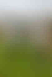 big gay clanard court hotel wedding, clanard court hotel, clanard court hotel athy, clanard court hotel wedding, clanard court hotel wedding photos, clanard court hotel prices, clanard court hotel wedding photographer, lgbt wedding, lgbt weddings ireland, lgbt wedding photographer, queer wedding, queer wedding photographer, queer wedding photographer ireland, drag wedding