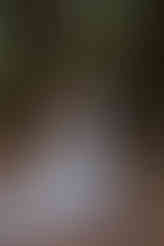 LOTR wedding, LOTR wedding ireland, LOTR wedding wicklow, LOTR wedding photographer, fantasy wedding, fantasy wedding ireland, fantasy wedding photographer, alternative wedding, alternative wedding wicklow, alternative wedding ireland, alternative wedding photographer, alternative wedding photographer ireland, wicklow escape, wicklow escape wedding, wicklow escape wedding photographer, wicklow escape wedding venue,wicklow escape venue, wicklow escape prices, wedding venue wicklow, alternative wedding venue, emma may wedding photography, woodland wedding, woodland wedding venue, dog friendly venue, dog friendly wedding, dog friendly wedding venue wicklow