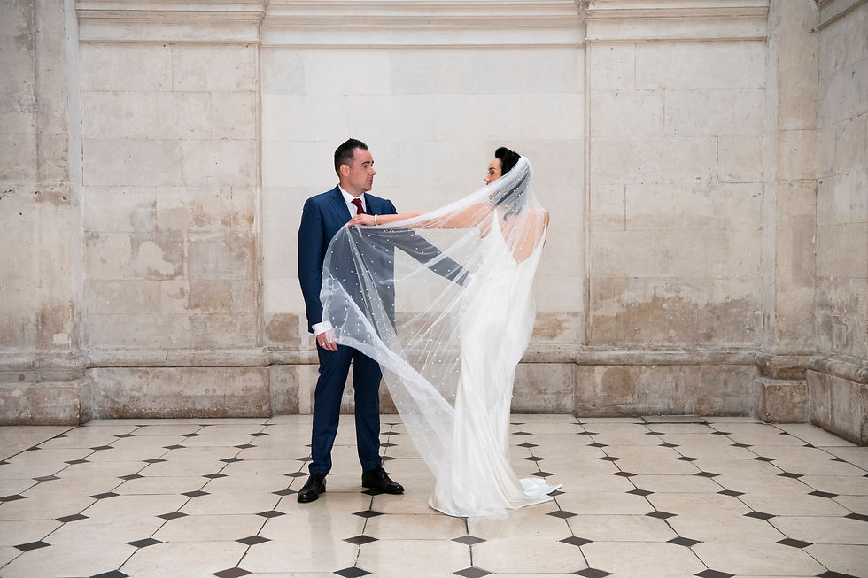 wedding photographers dublin, wedding photographer dublin, wedding photographers ireland wedding photographer ireland, city hall wedding, dublin city hall wedding, wedding dublin city hall, iveagh gardens hotel, iveagh gardens hotel weddings, iveagh gardens hotel wedding photos city hall,