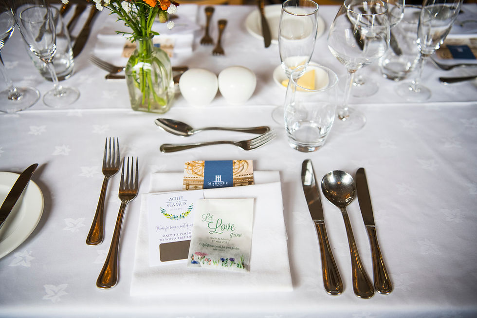 wedding photographers dublin, wedding photographer dublin, wedding photographers ireland, best wedding photographers ireland, markree castle, markree castle wedding, markree castle wedding photographers