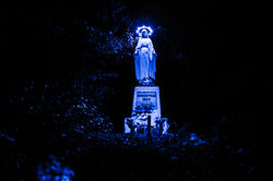 Midnight Mary Avoca
