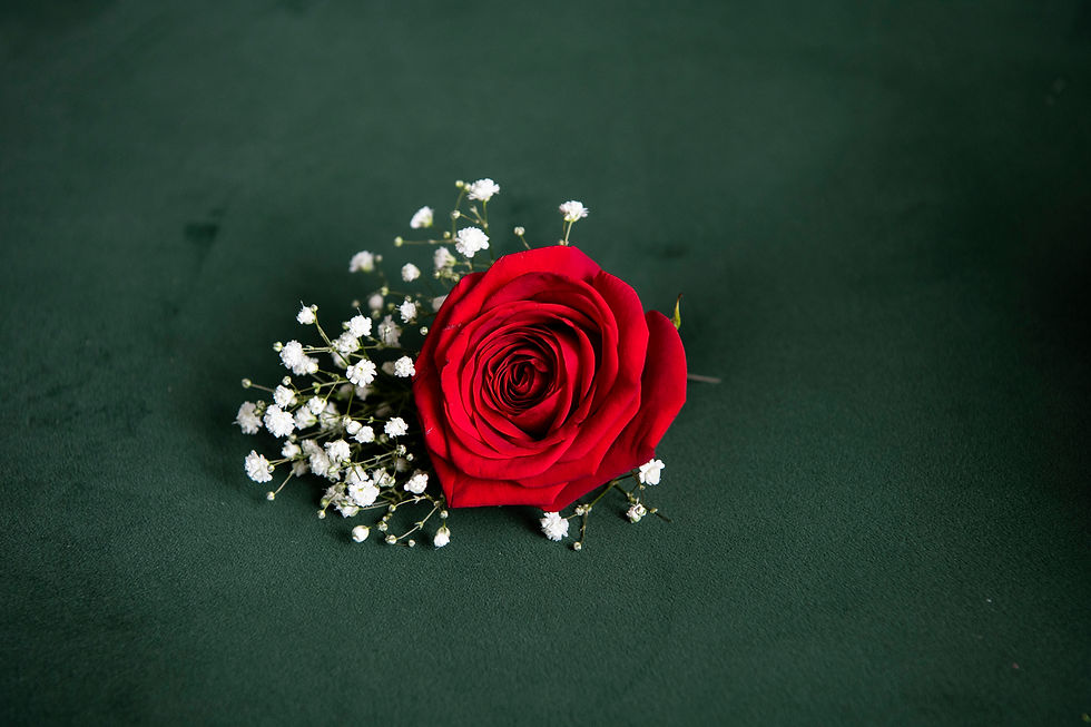 wedding photographers dublin, wedding photographer dublin, wedding photographers ireland wedding photographer ireland, city hall wedding, dublin city hall wedding, wedding dublin city hall, iveagh gardens hotel, iveagh gardens hotel weddings, iveagh gardens hotel wedding photos city hall,