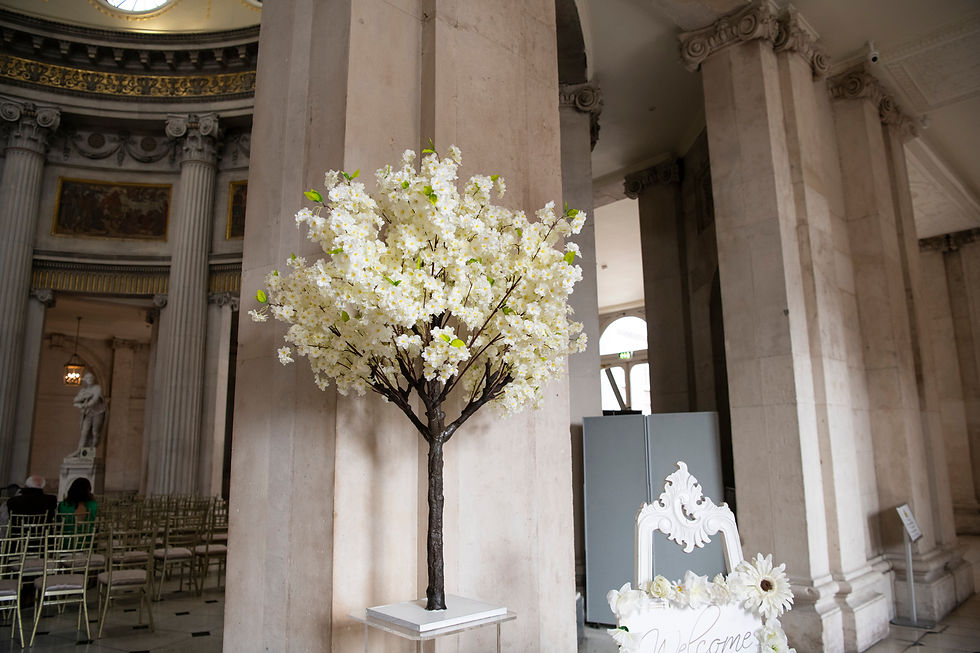 wedding photographers dublin, wedding photographer dublin, wedding photographers ireland wedding photographer ireland, city hall wedding, dublin city hall wedding, wedding dublin city hall, iveagh gardens hotel, iveagh gardens hotel weddings, iveagh gardens hotel wedding photos city hall,
