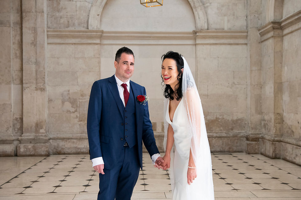 wedding photographers dublin, wedding photographer dublin, wedding photographers ireland wedding photographer ireland, city hall wedding, dublin city hall wedding, wedding dublin city hall, iveagh gardens hotel, iveagh gardens hotel weddings, iveagh gardens hotel wedding photos city hall,