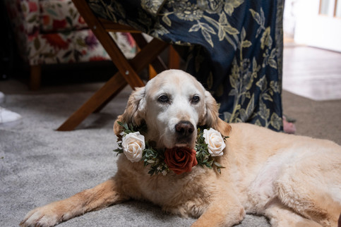 LOTR wedding, LOTR wedding ireland, LOTR wedding wicklow, LOTR wedding photographer, fantasy wedding, fantasy wedding ireland, fantasy wedding photographer, alternative wedding, alternative wedding wicklow, alternative wedding ireland, alternative wedding photographer, alternative wedding photographer ireland, wicklow escape, wicklow escape wedding, wicklow escape wedding photographer, wicklow escape wedding venue,wicklow escape venue, wicklow escape prices, wedding venue wicklow, alternative wedding venue, emma may wedding photography