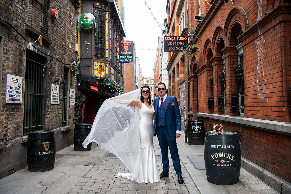 wedding photographers dublin, wedding photographer dublin, wedding photographers ireland wedding photographer ireland, city hall wedding, dublin city hall wedding, wedding dublin city hall, iveagh gardens hotel, iveagh gardens hotel weddings, iveagh gardens hotel wedding photos city hall, dublin castle, dublin castle wedding