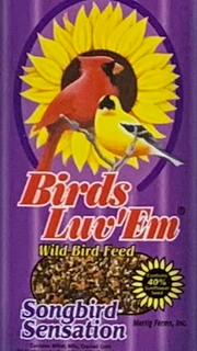 Screen Shot 2023-02-08 at 7.38.14 AM.png