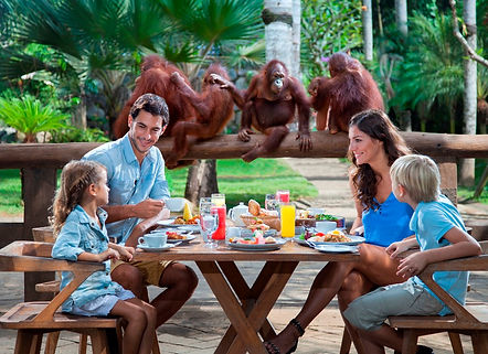 Activities - Breakfast with Orangutans (1).jpg