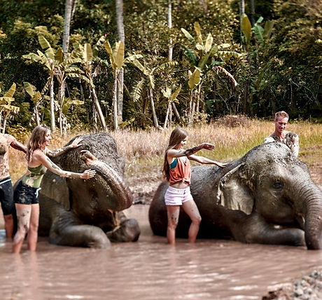 ELEPHANT MUD FUN BALI ZOO (6).jpg