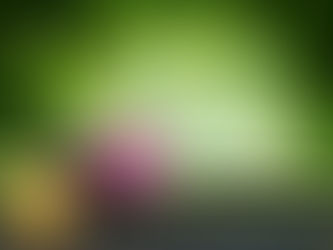 O que é o Feng Shui?