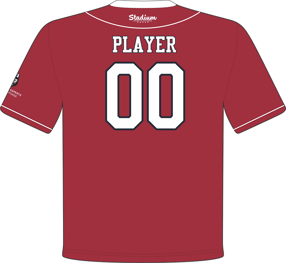 Thumbnail: Dirty Birds Red Jersey Replica