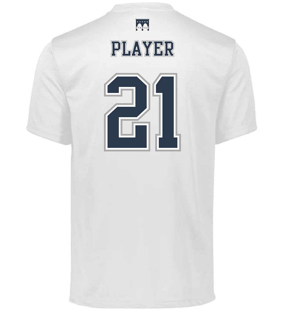 Thumbnail: Iron Pigs White Drifit Shirt
