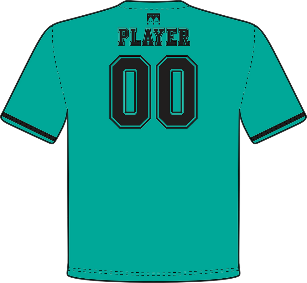 Thumbnail: Teal Jersey with Black Accents