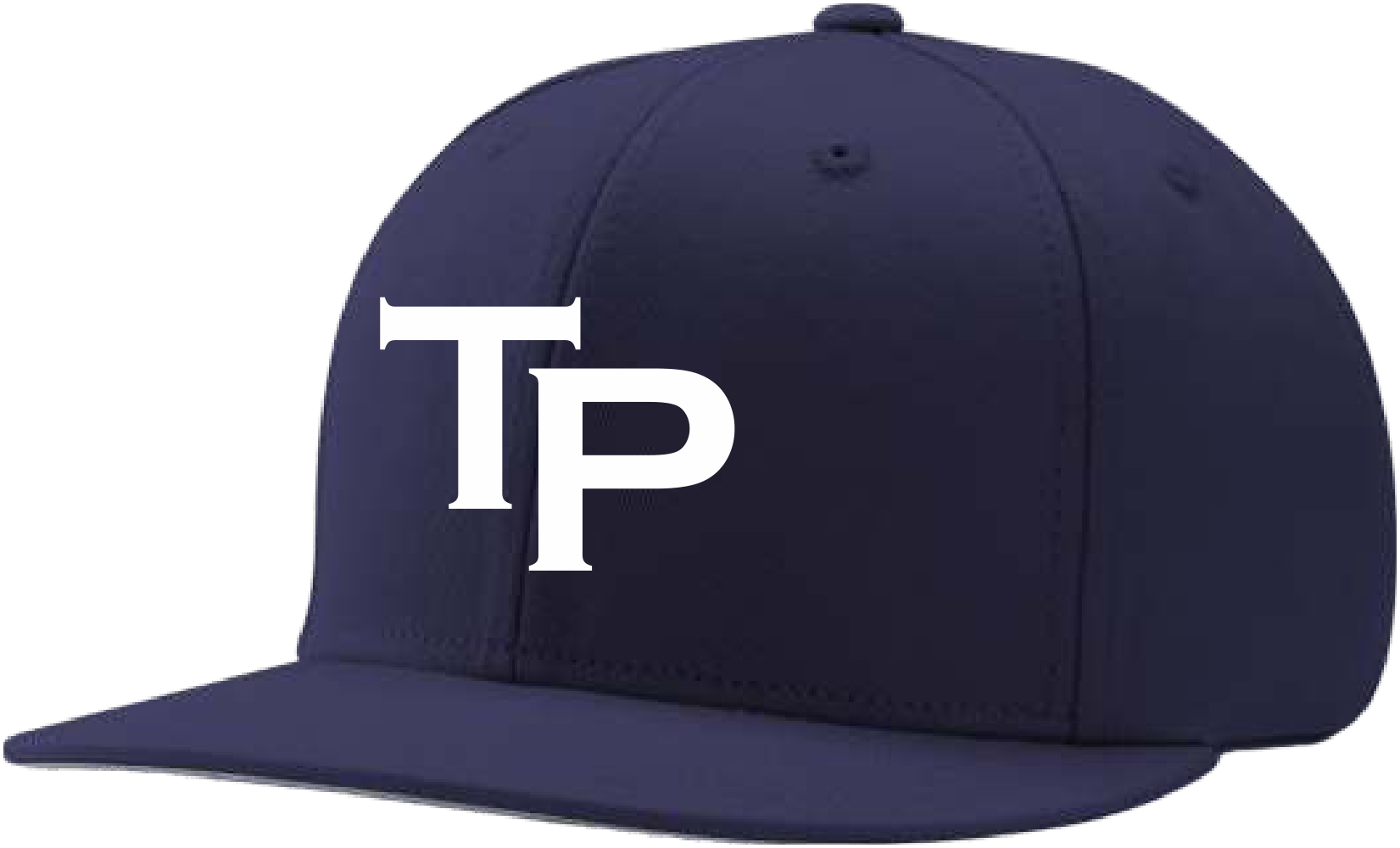 Tiger Point Snapback - Gators