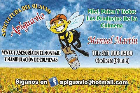 APIGUAVIO