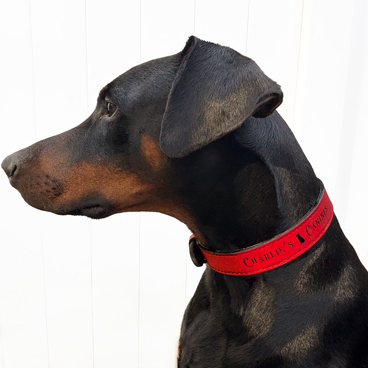 Charlie's Canines Leather Dog Collar