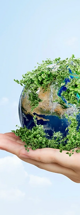 Captura de pantalla 2025-09-08 a la(s) 12.56.22 p.m..png