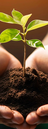 Captura de pantalla 2025-09-08 a la(s) 1.10.27 p.m..png