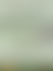 Taller de elaboración de mantecados de Portillo