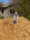 EddyMulchPile.jpg
