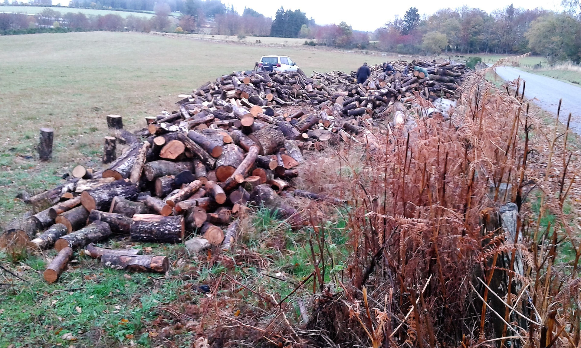 bois2-102