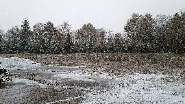 neige104