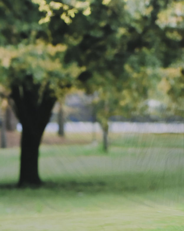 spring background.jpg