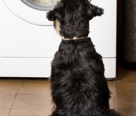 Tips On Preventing Snagging, Pilling, and Pulling At the Laundromat
