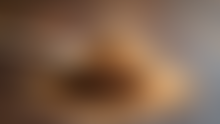 Top Benefits of Flax Seeds for Wellness Enthusiasts